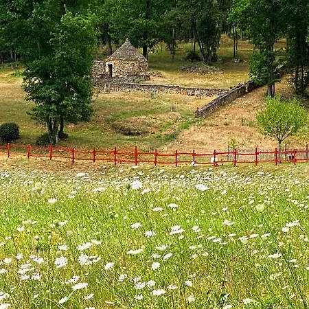 Eco-hameau Du Sentier Des Sources Деревянный коттедж Сарла-ла-Канеда
