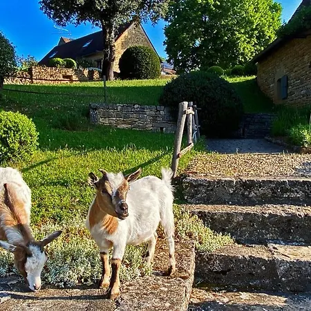 Eco-hameau Du Sentier Des Sources 萨尔拉拉卡内达