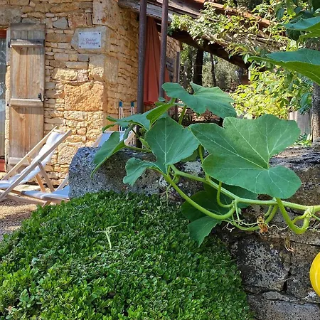 Eco-hameau Du Sentier Des Sources *