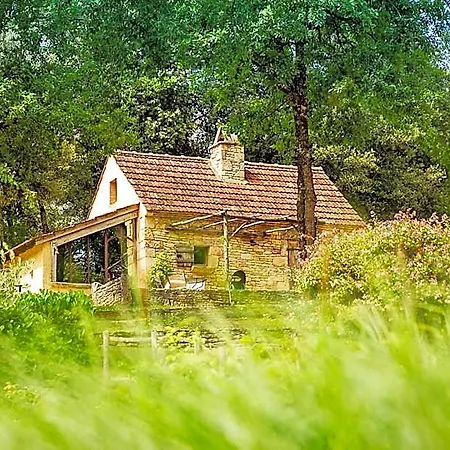 Orman Evi Eco-hameau Du Sentier Des Sources Sarlat-la-Canéda