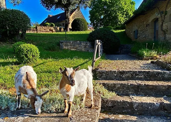 Eco-hameau Du Sentier Des Sources سارلا لا كانيدا